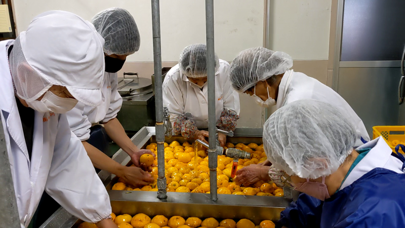 俵山の町おこし